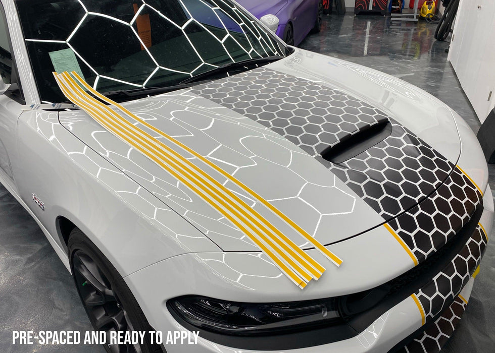 Standard Vehicle Stripe Kit - Dual Pinstripes, Pre-Spaced - Luxe Auto Concepts